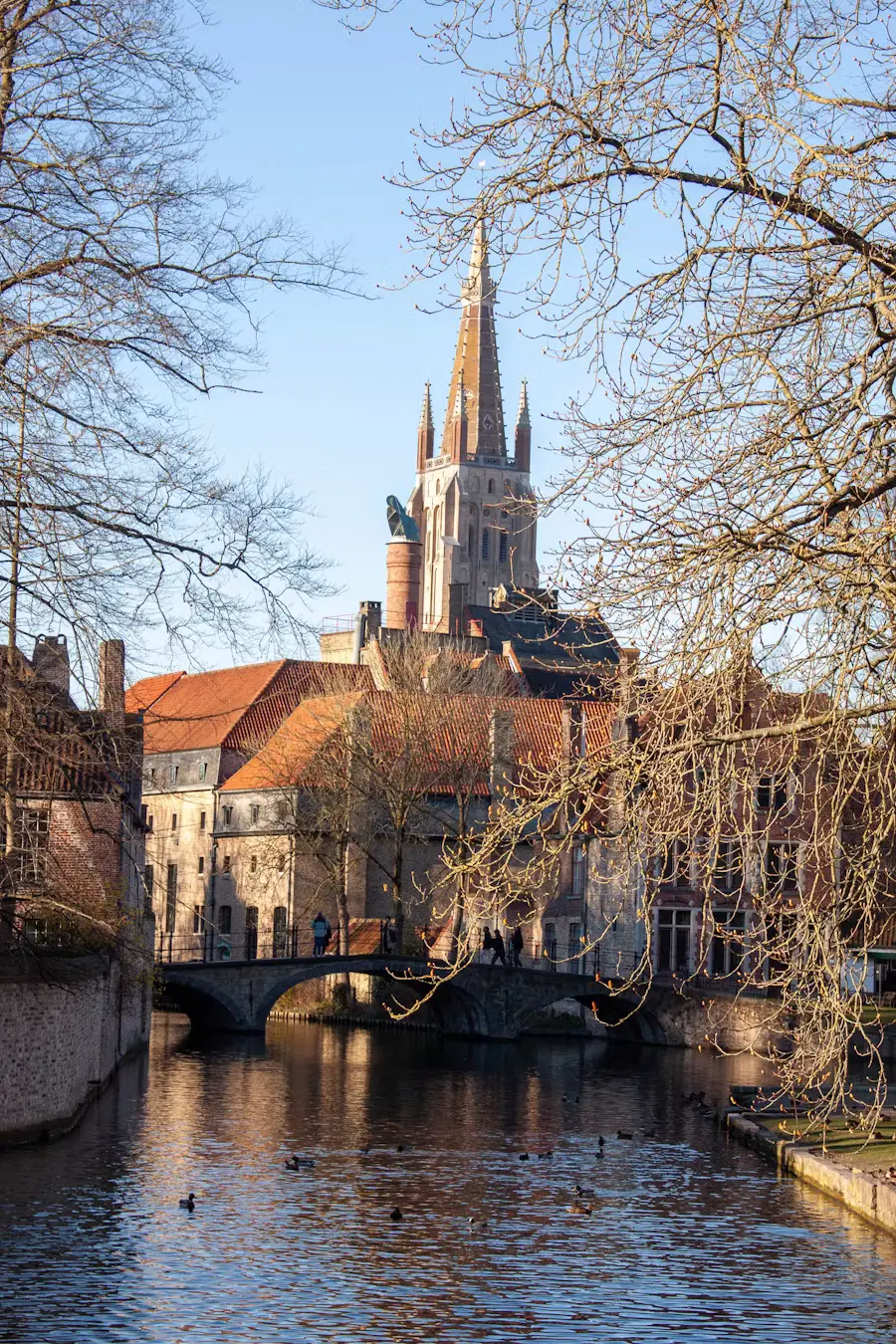 The spire of the Church of Our Lady in Bruges rising above rooftops, framed by bare tree branches, with a stone bridge crossing a canal in the foreground.