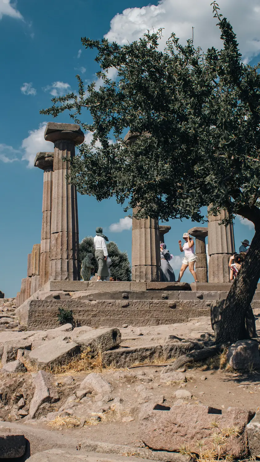 Ancient temple columns and ruins shaded by a large tree, with ancient stone fragments scattered on the ground.