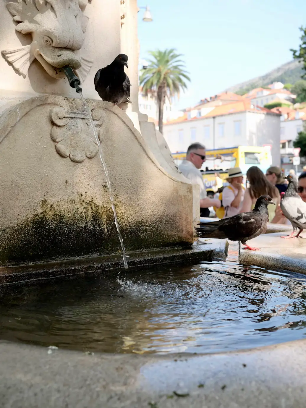 Stone fountain with a bird perched on its rim, water flowing into a basin, with people and palm trees in the background.