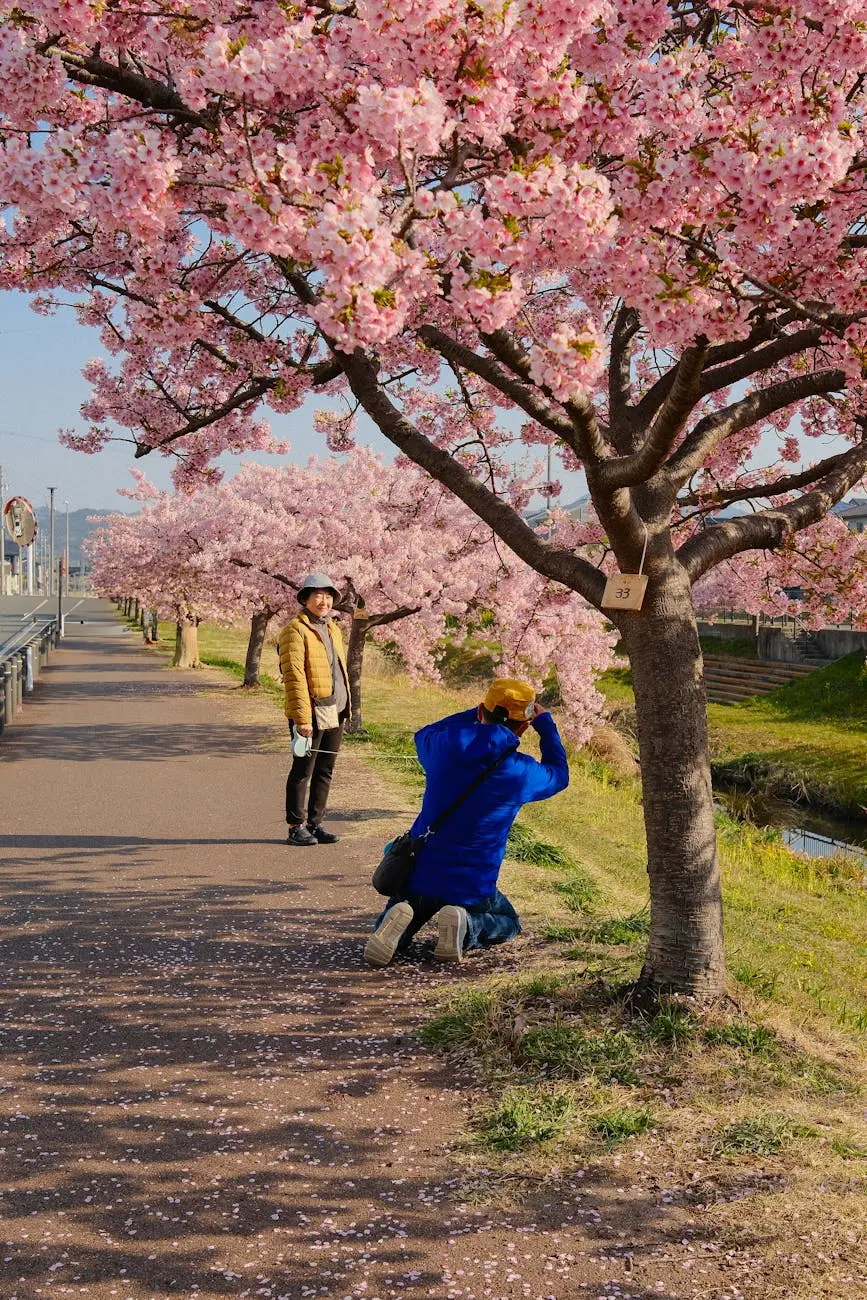 Travel Japan