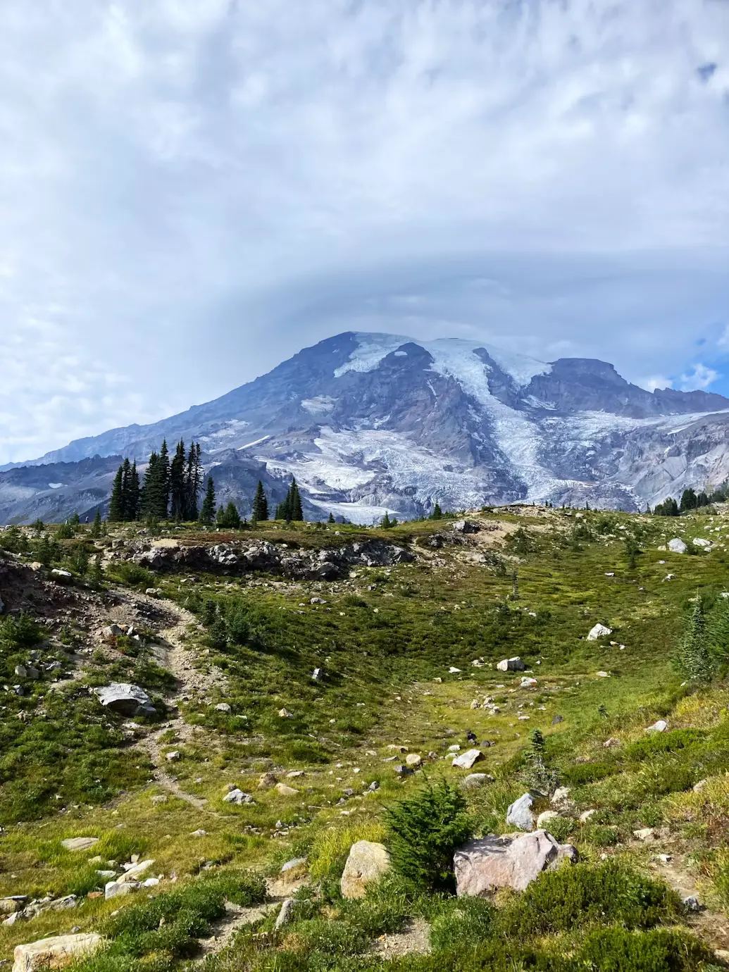Snow-capped Mount Rainier rising above a green alpine meadow with a winding hiking trail.
