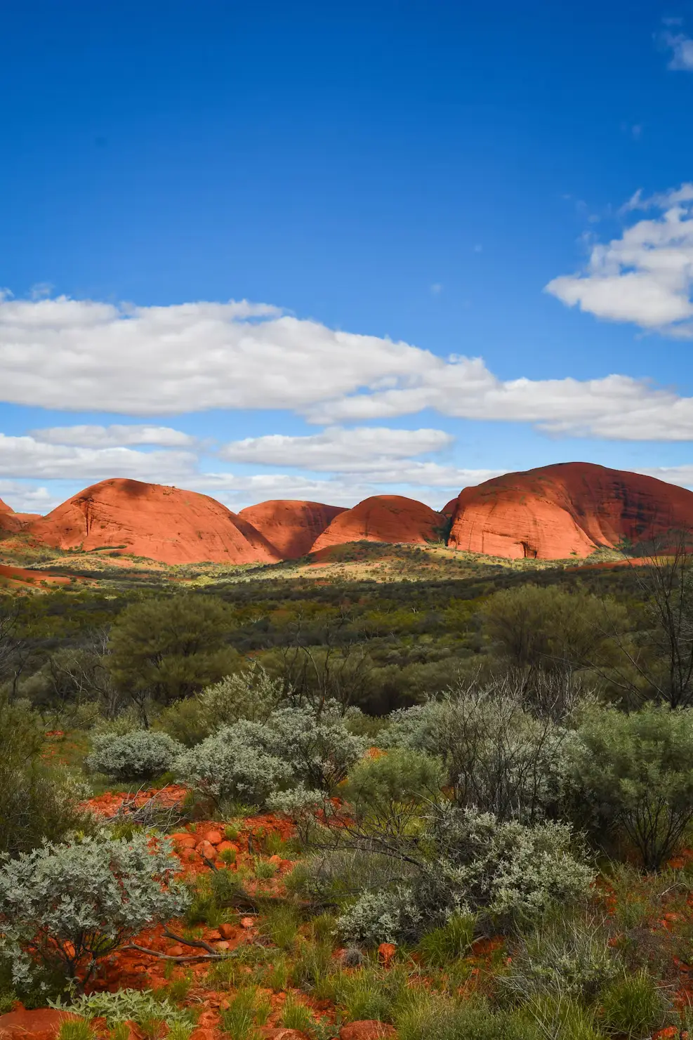 Red desert hills and native scrubland in the Australian outback, possibly the Pilbara or Kimberley region