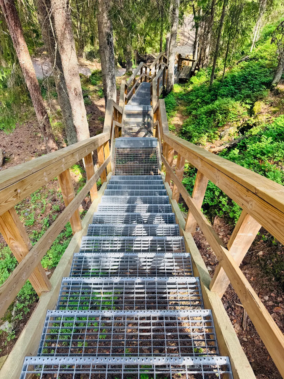 Wooden staircase with metal steps winding through a lush green forest.