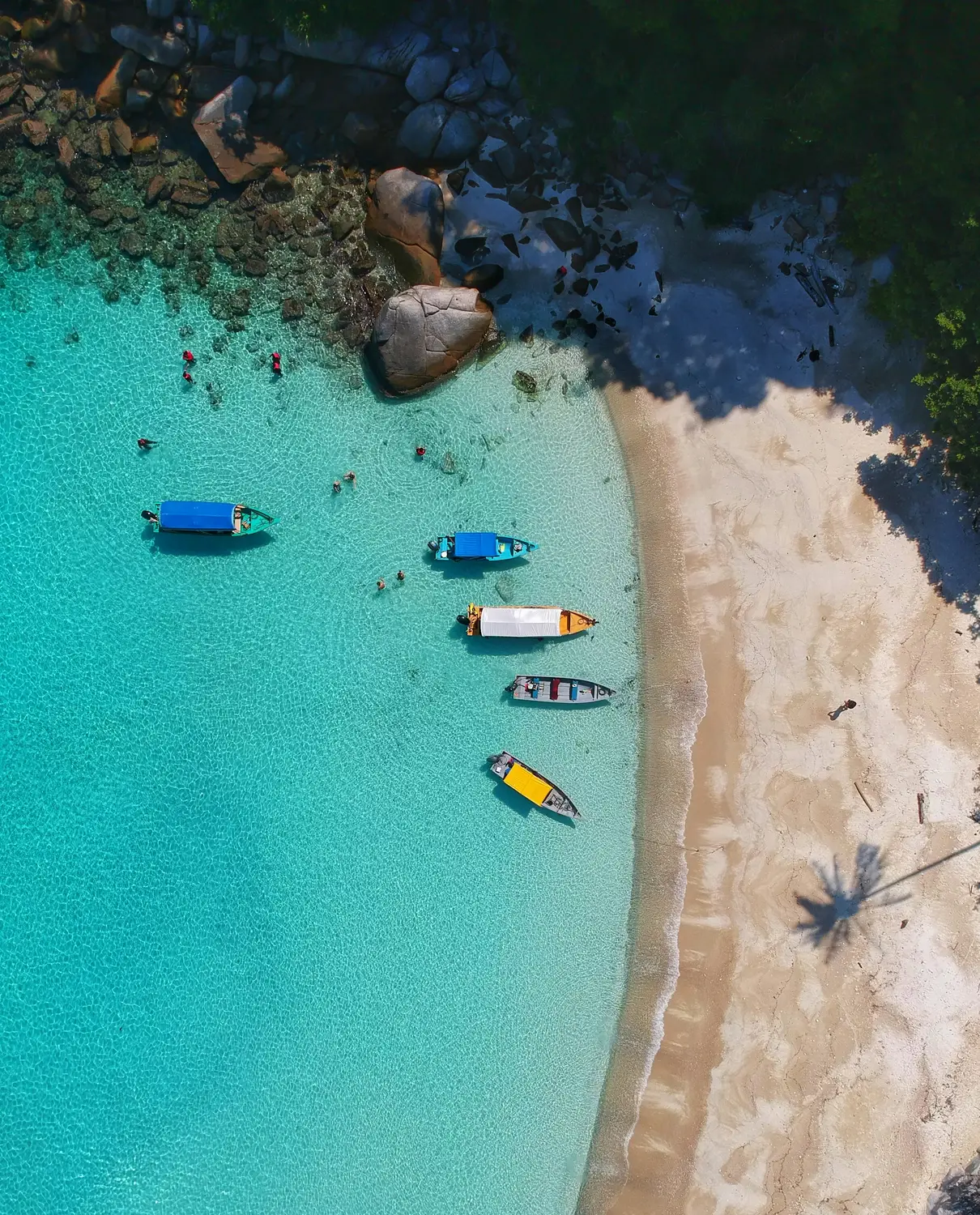 Aerial drone view of turquoise clear water white sandy beach with colorful boats and snorkelers at Perhentian Islands Malaysia