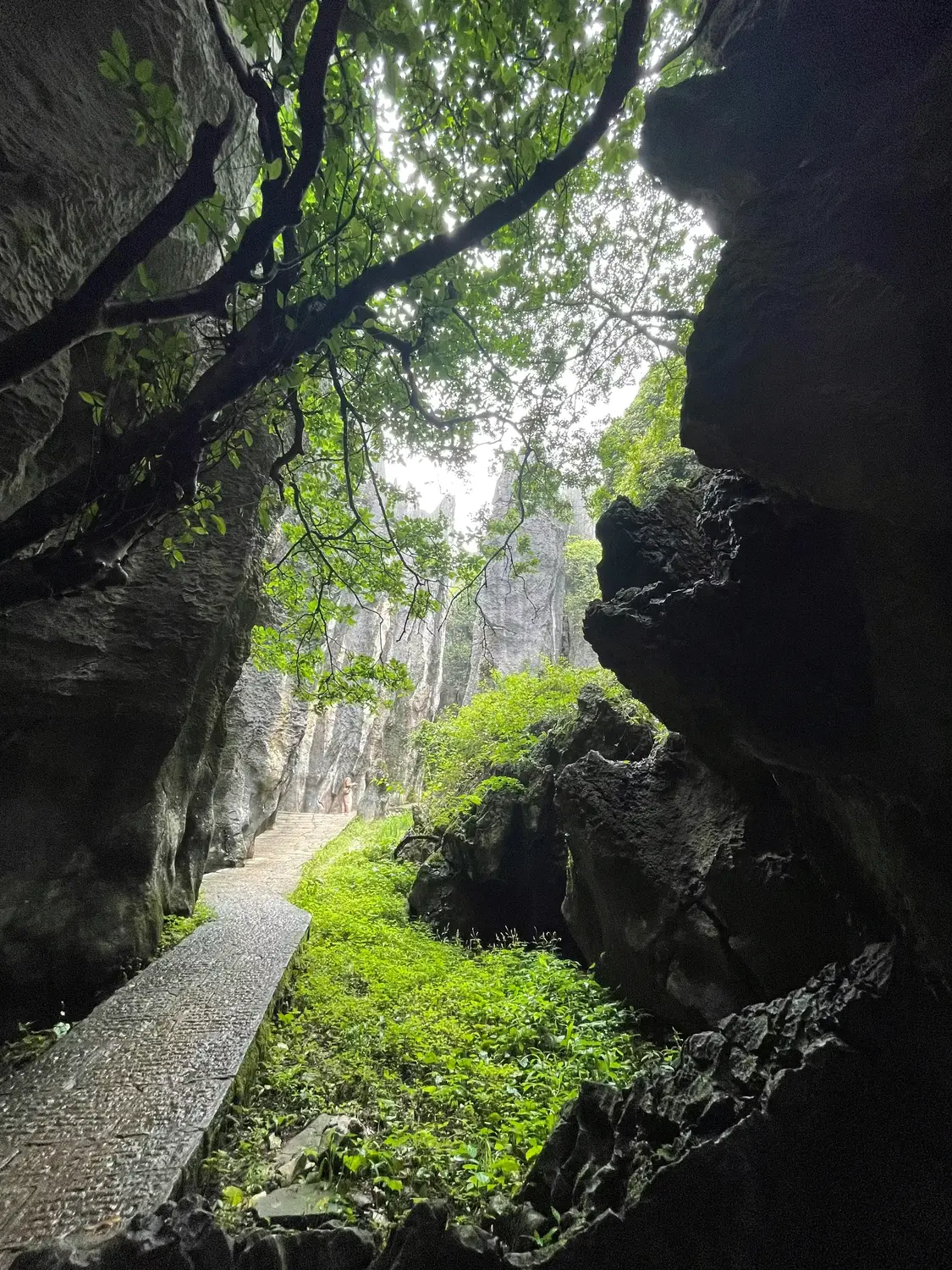 Stone forest karst rock formations with lush green moss and narrow pathway viewed from cave entrance in Yunnan China
