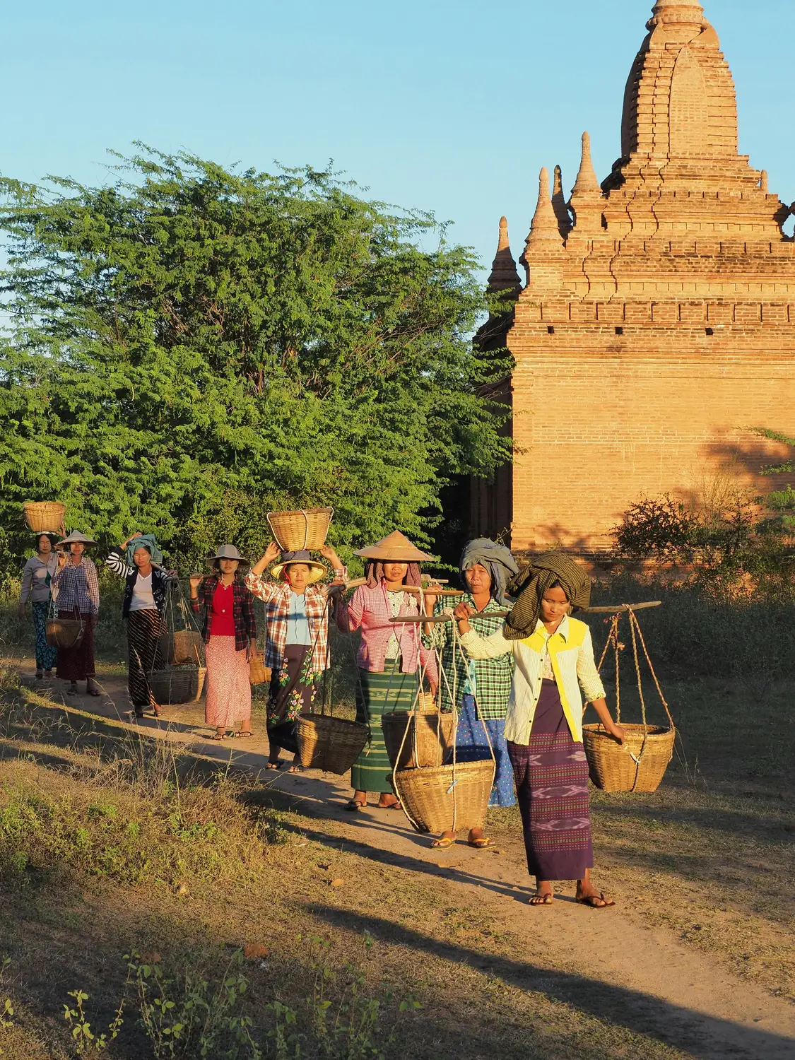 Group of Burmese women carrying woven baskets on shoulders and heads walking past ancient brick pagoda at sunrise, Bagan Myanmar
