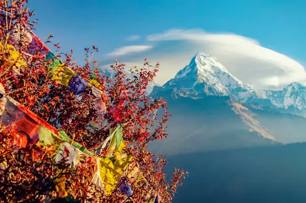 Buddhist prayer flags and autumn foliage framing a snow-capped Himalayan peak, Nepal