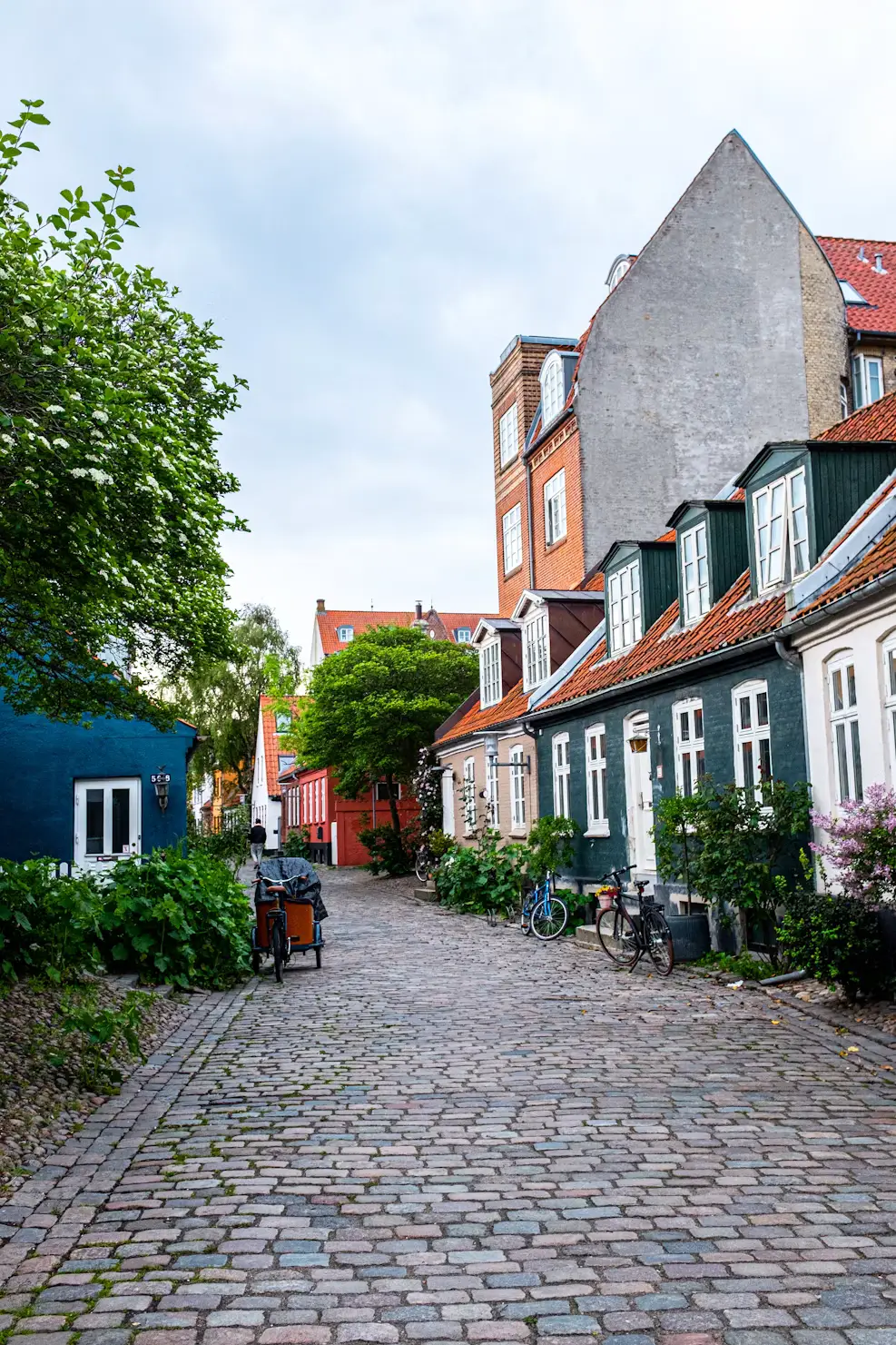 Cobblestone street lined with colorful traditional houses in a Danish town