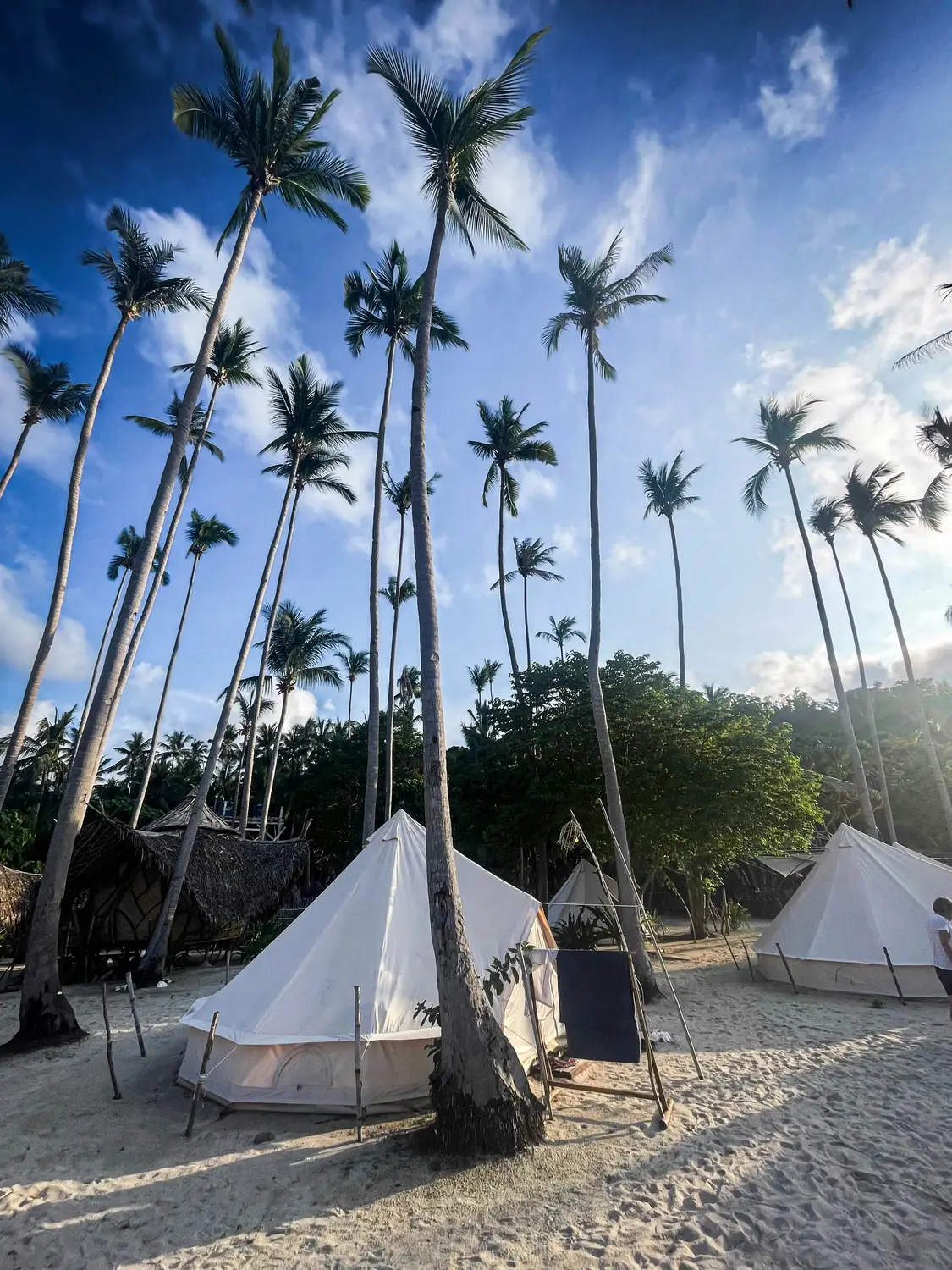 Glamping tents among tall palm trees on a sandy beach under a blue sky in the Philippines.
