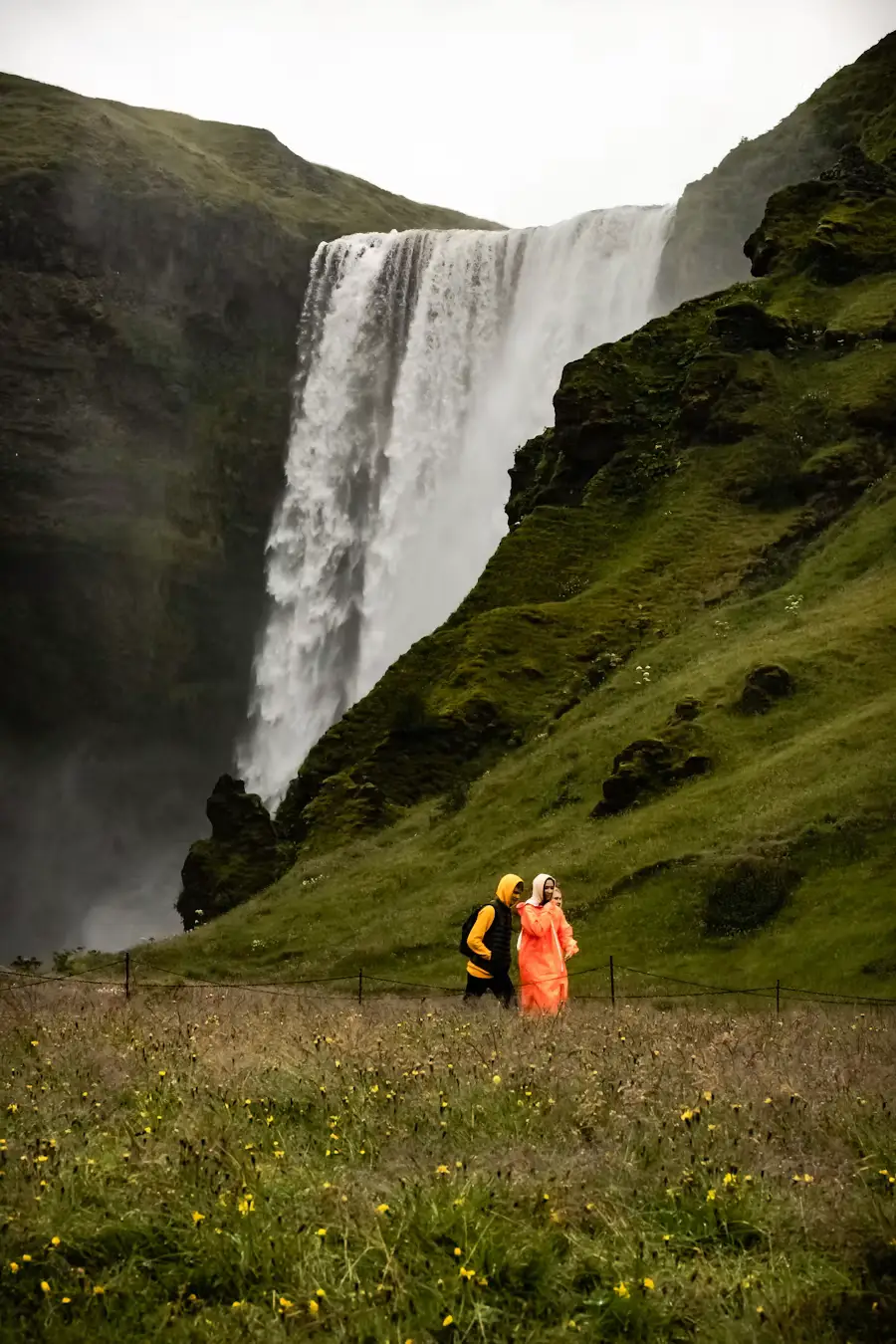 Hiker in an orange jacket walking through a grassy field toward a tall waterfall cascading down a cliff, Iceland.