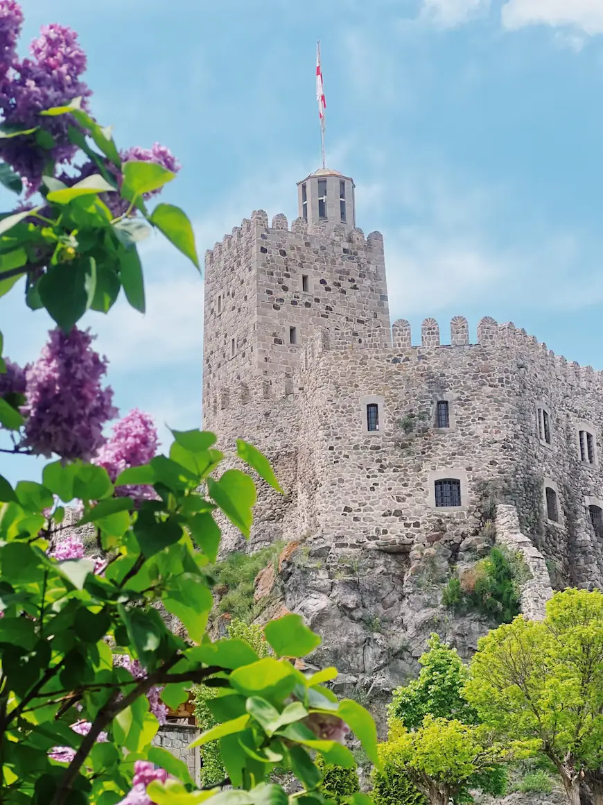 Stone hilltop fortress with a flag tower framed by blooming purple flowers and green trees.