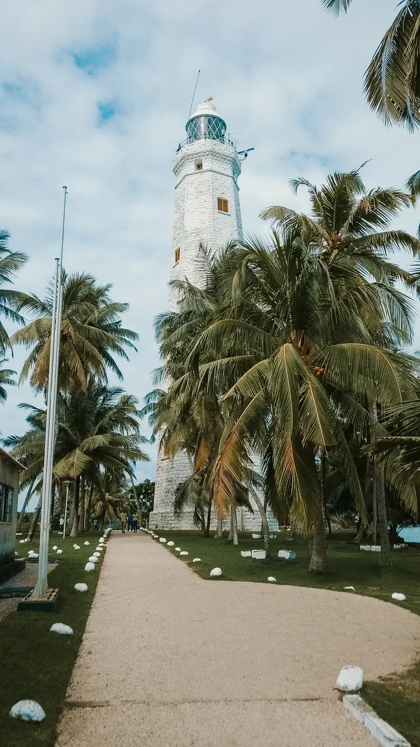 White lighthouse framed by tall palm trees along a pathway under a cloudy sky in Sri Lanka.