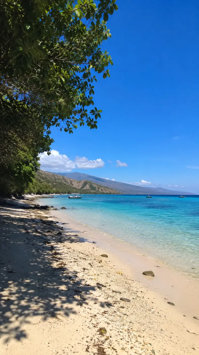 Pristine white sand beach with turquoise water and tropical trees Timor-Leste