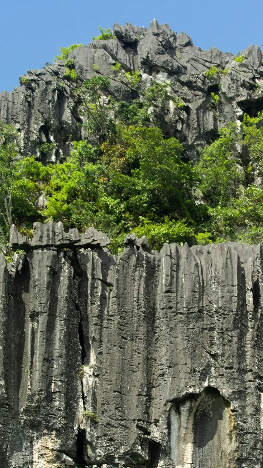 Dramatic basalt rock columns formation in Timor-Leste jungle landscape