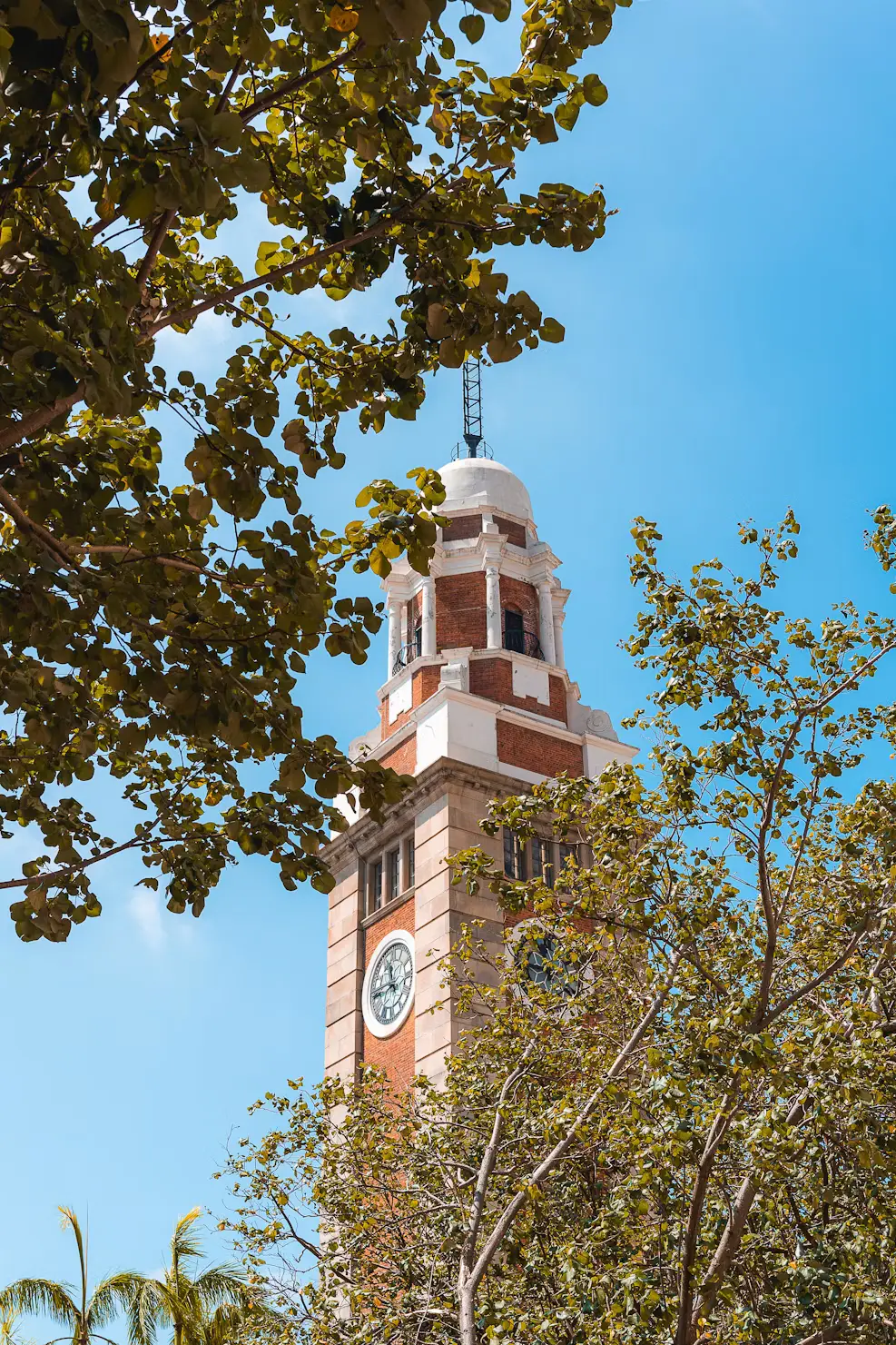 Historic Tsim Sha Tsui Clock Tower rising above green trees against a blue sky in Hong Kong.