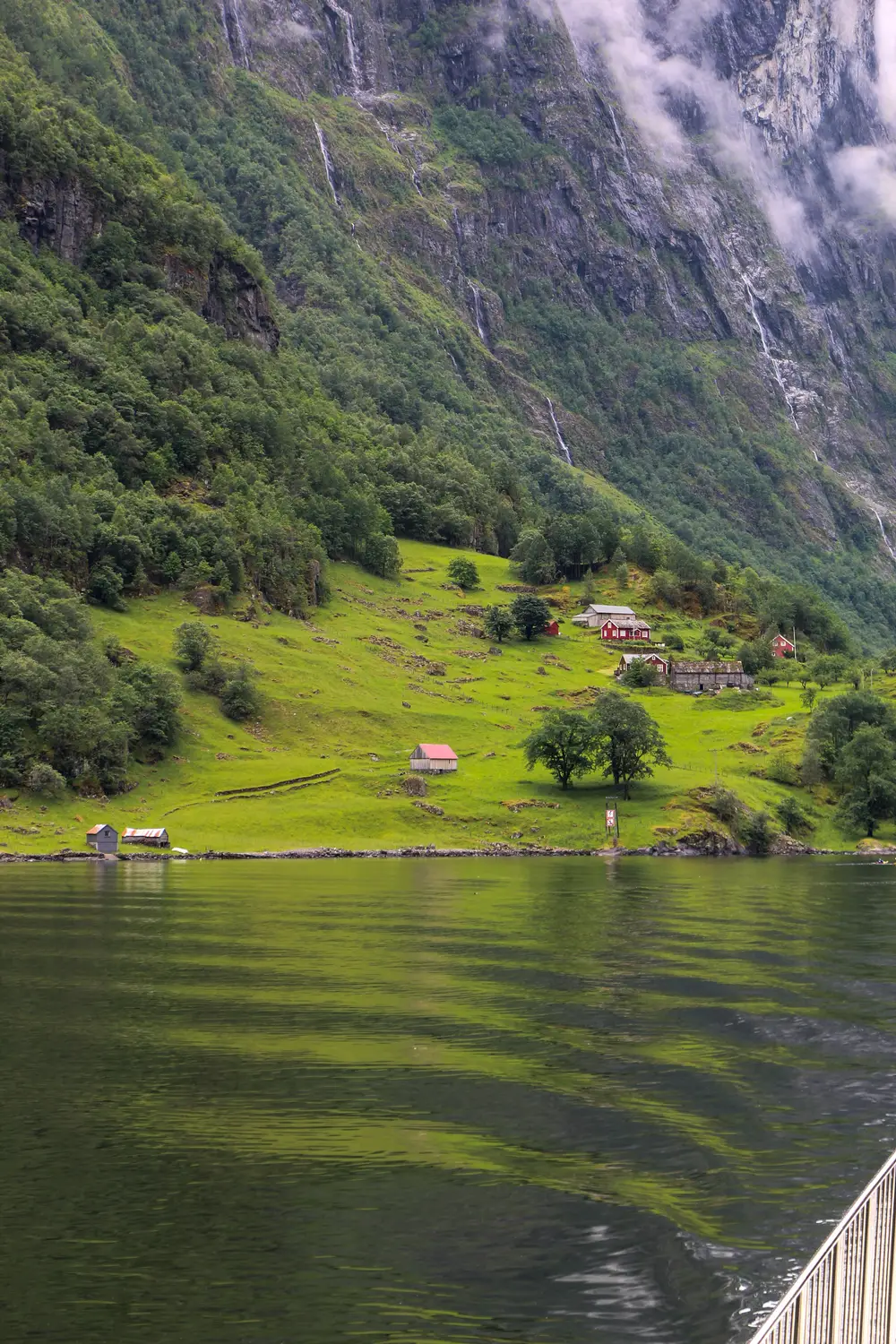 Steep green mountainsides plunging into the calm waters of a fjord, seen from a boat on the water.