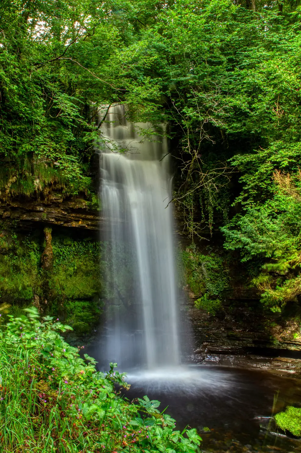 Slender waterfall flowing into a rocky pool, framed by dense green foliage.