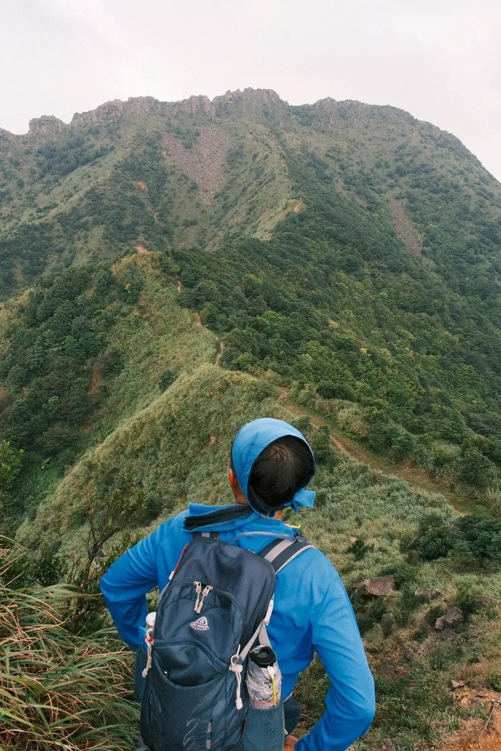 Hiker in a blue shirt and backpack pausing on a grassy ridge trail to gaze at a green mountain peak in Taiwan