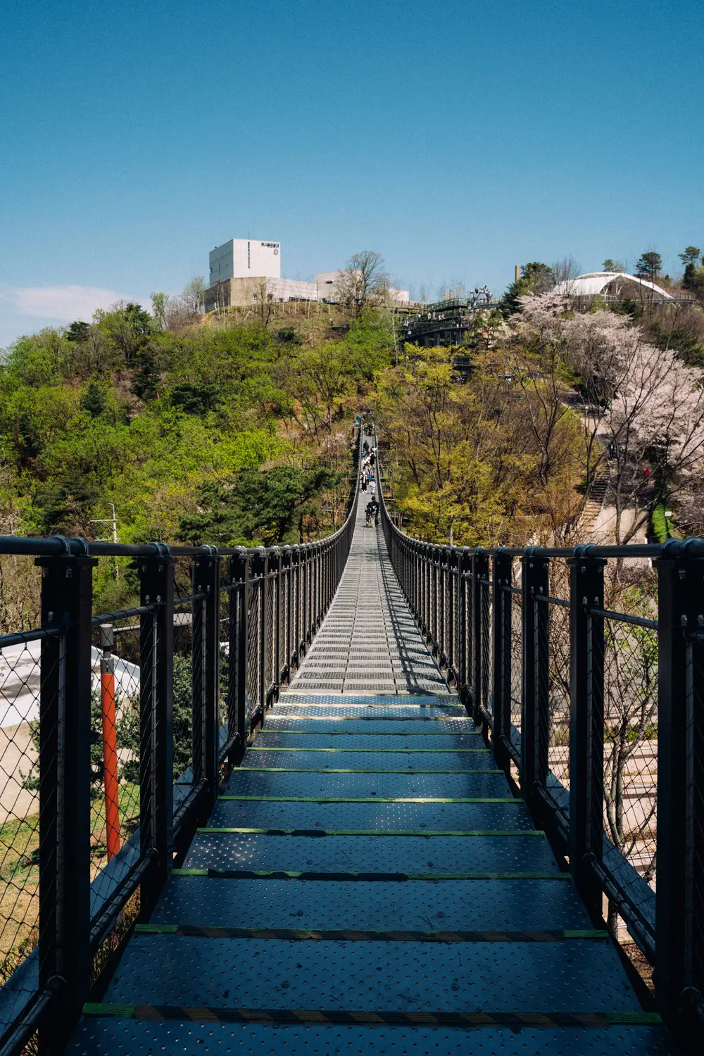 Long wooden suspension bridge stretching across a forested valley toward a hilltop fortress on a sunny day.