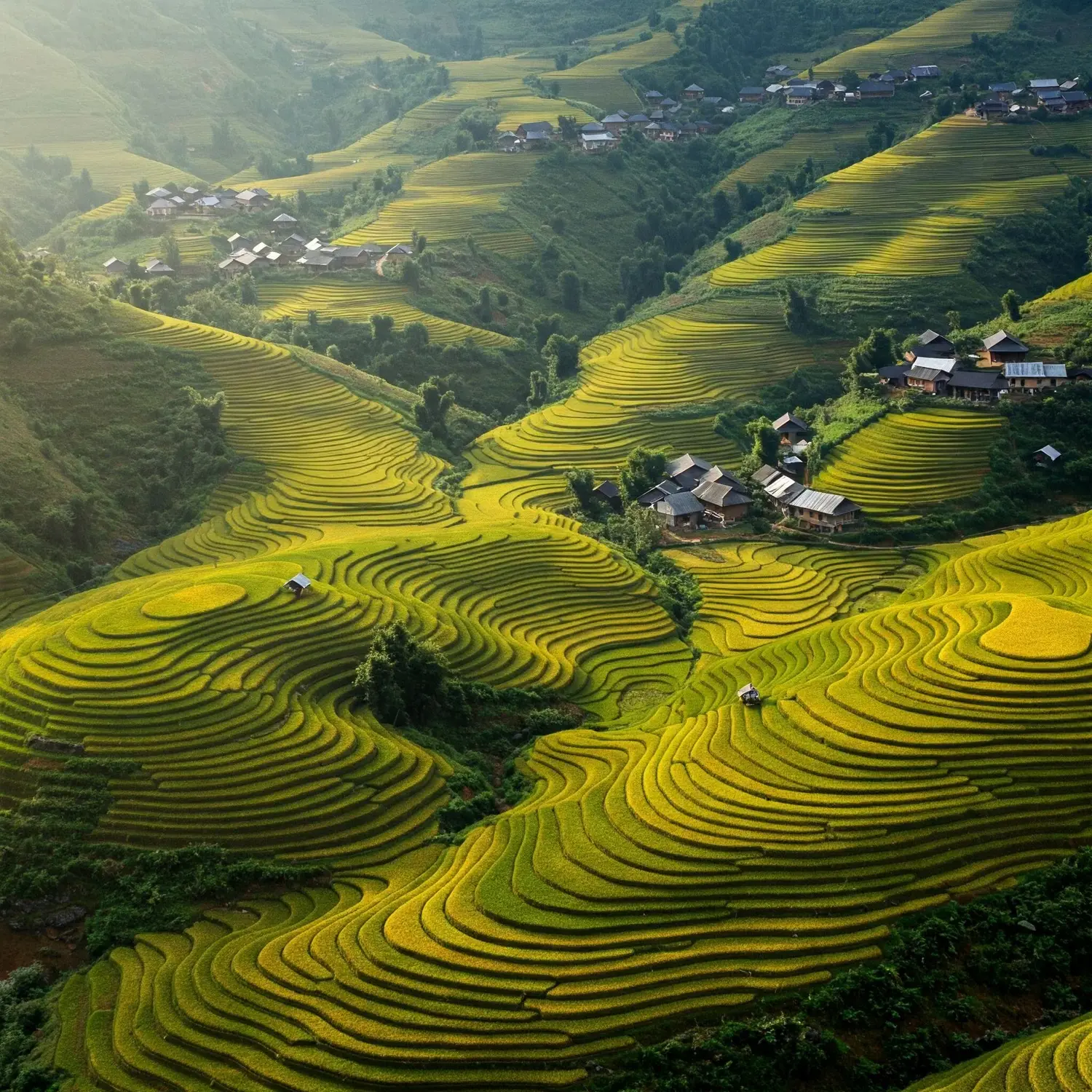 Aerial view of golden terraced rice fields cascading down green mountain slopes with traditional village houses scattered among lush trees in Mu Cang Chai, Yen Bai, Vietnam
