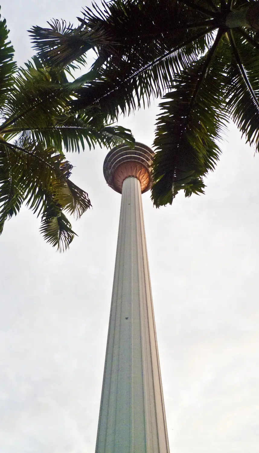 Low angle upward view of Kuala Lumpur KL Tower telecommunications tower with tropical palm tree fronds in foreground Malaysia