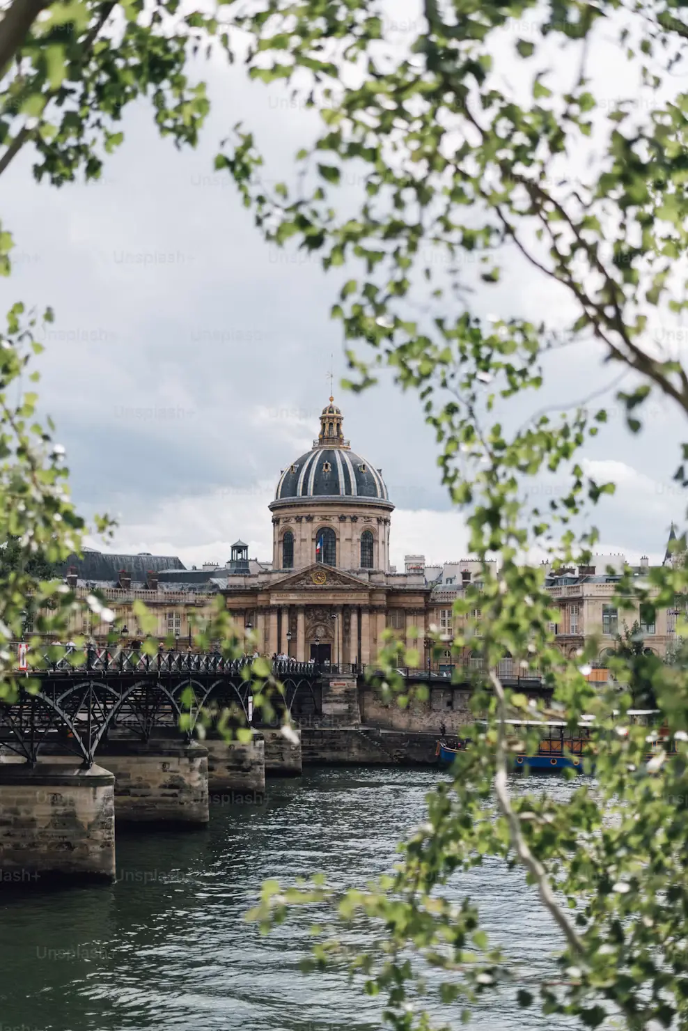 Institut de France dome viewed across the Seine River through tree branches in Paris