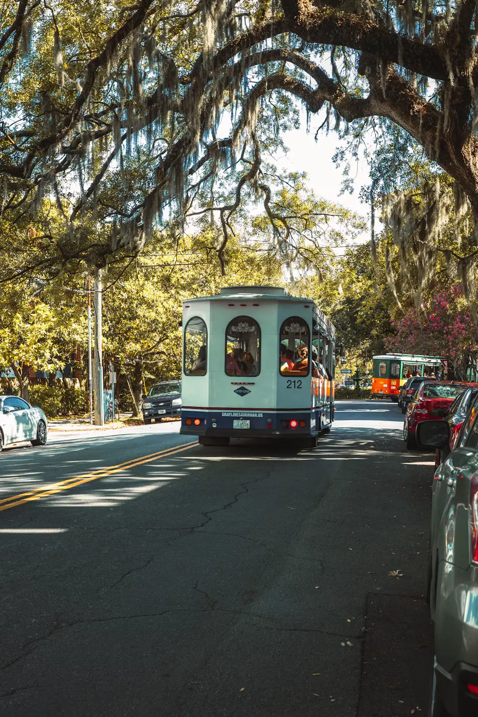 A trolley bus travels down a tree-lined street beneath sprawling oak branches draped in Spanish moss.