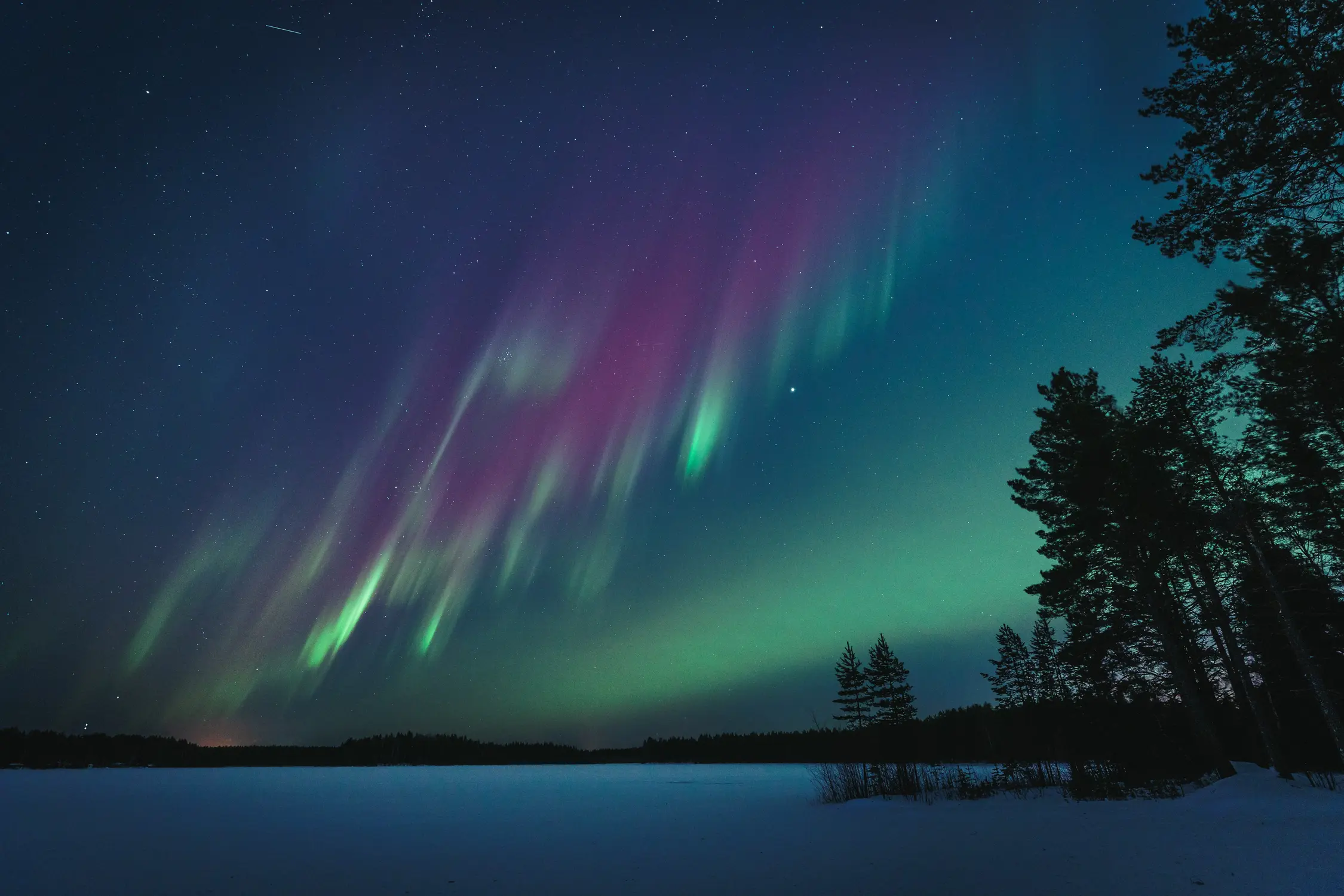 A vivid aurora borealis shimmers in green and purple across a star-filled night sky above a snow-covered lake, with dark evergreen trees silhouetted along the shoreline.