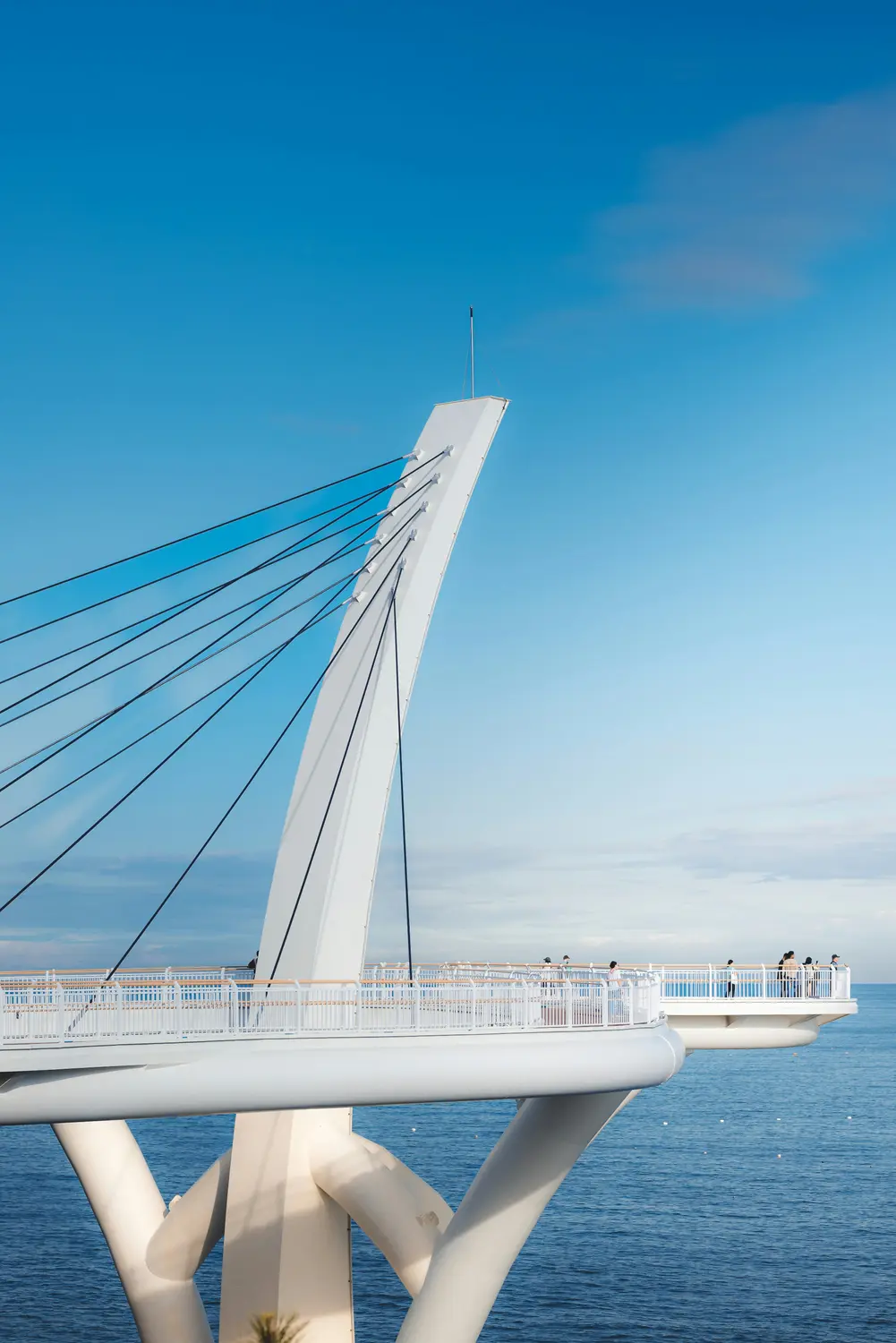 White cable-stayed bridge with a tall pylon against a clear blue sky over calm water in South Korea.