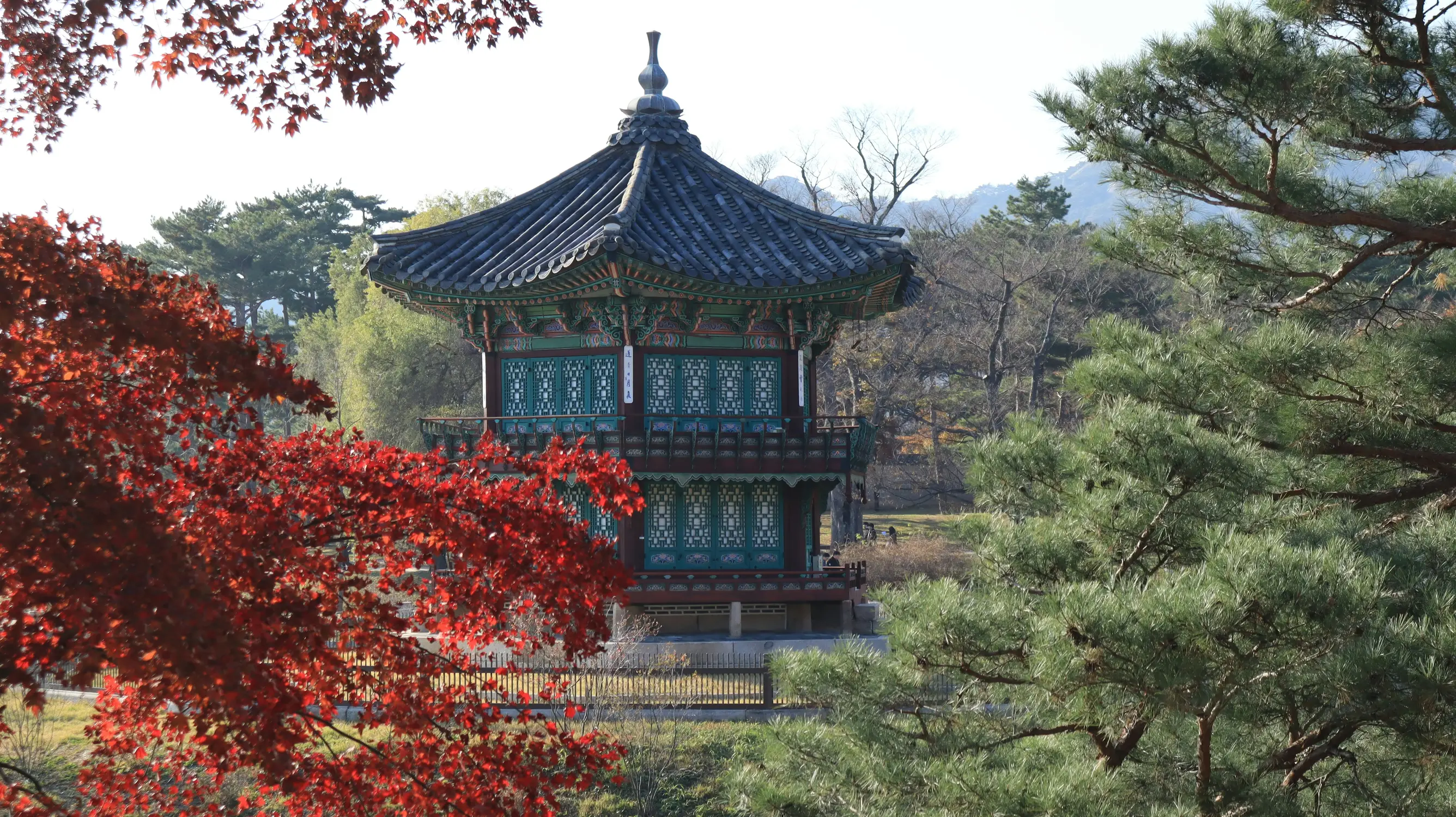 Two-story Korean hexagonal pavilion with green latticed walls and a tiled hip roof, framed by red autumn maple leaves and pine trees at Gyeongbokgung Palace.