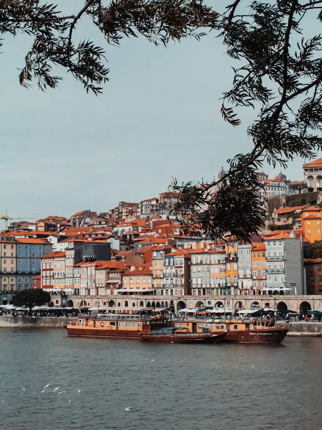 Colorful riverside buildings with red-tiled roofs overlook boats on the water, framed by tree branches above.