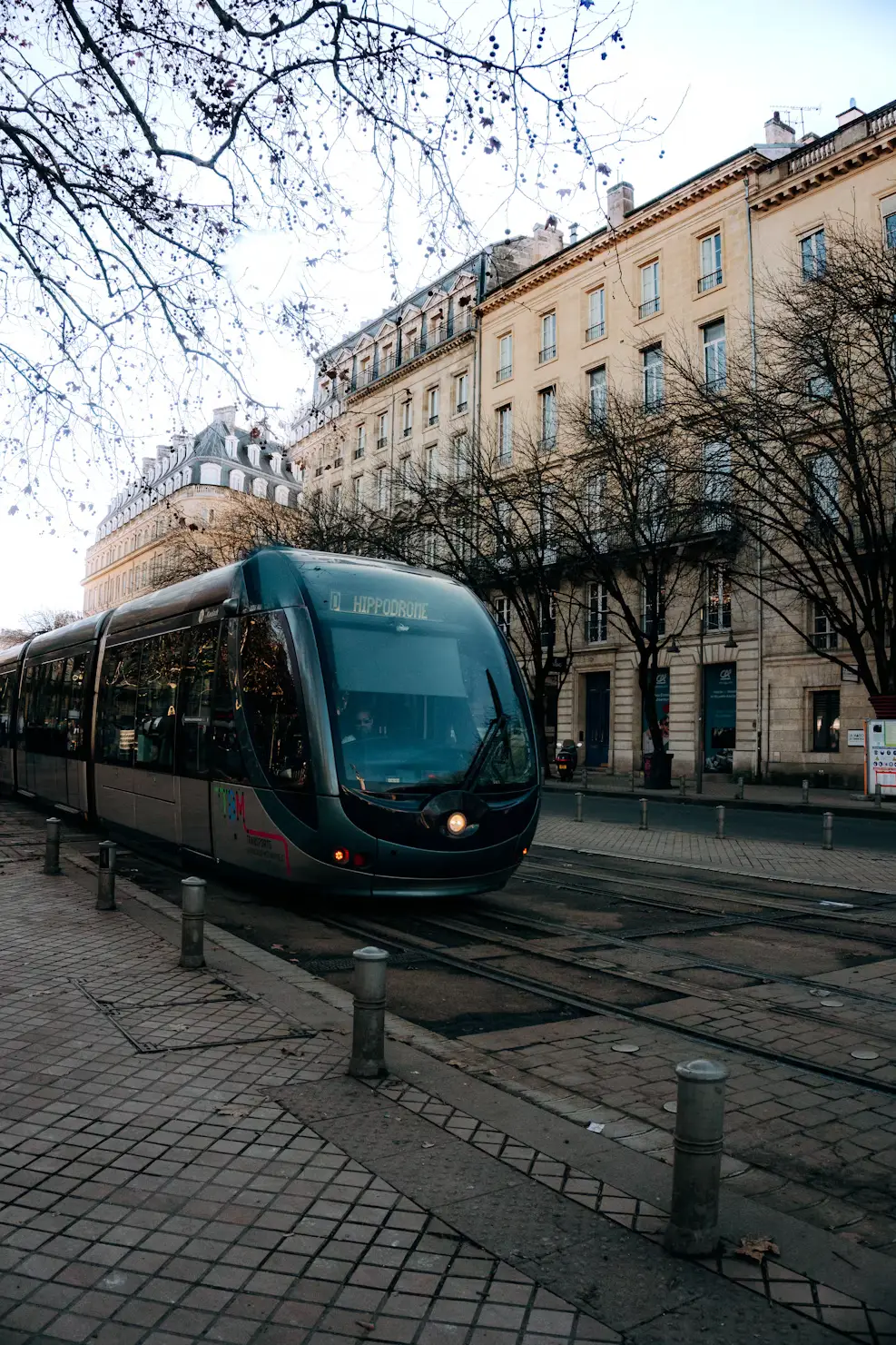 Modern tram passing through a tree-lined street in Bordeaux, France