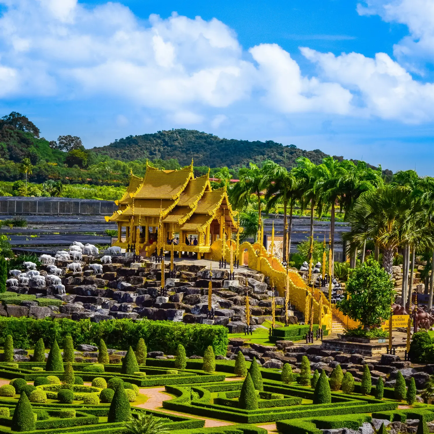 Best Travel Insurance with Trip Cancellation in 2026
