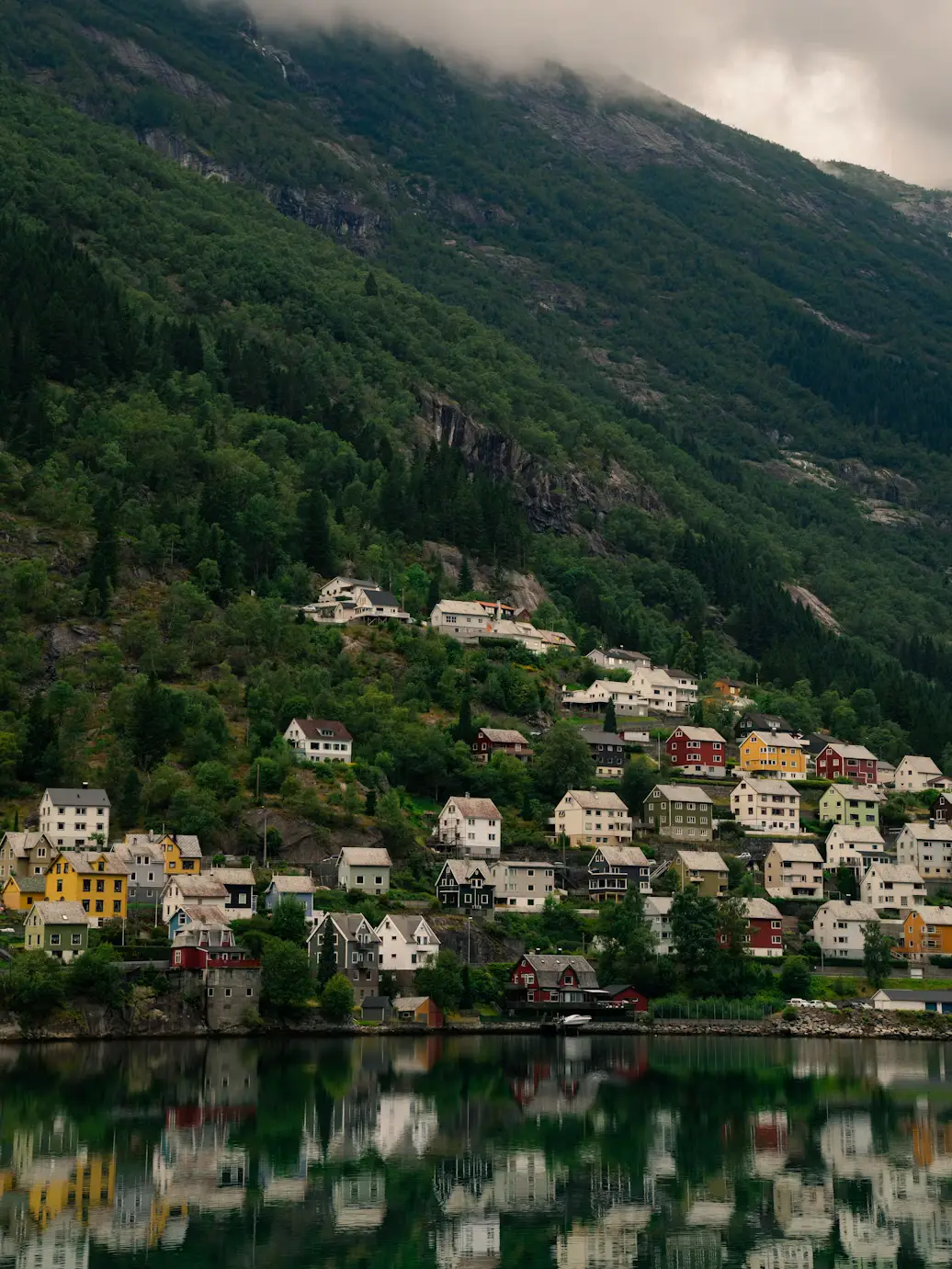 Colourful houses dotting a steep, forested hillside above a fjord, mirrored in the glassy water below.