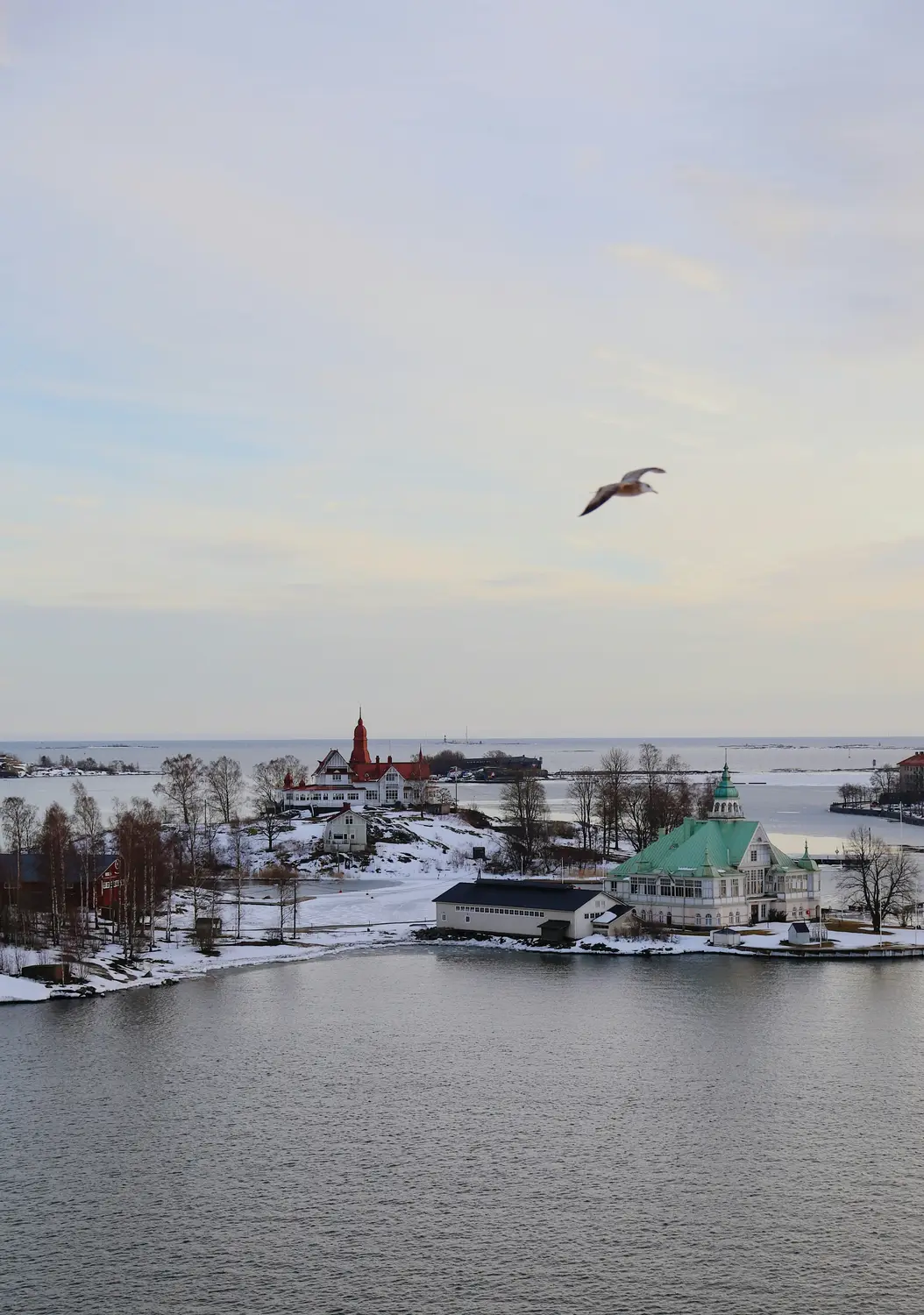 Snowy waterfront with a green-roofed building, a distant red church, and a seagull flying overhead