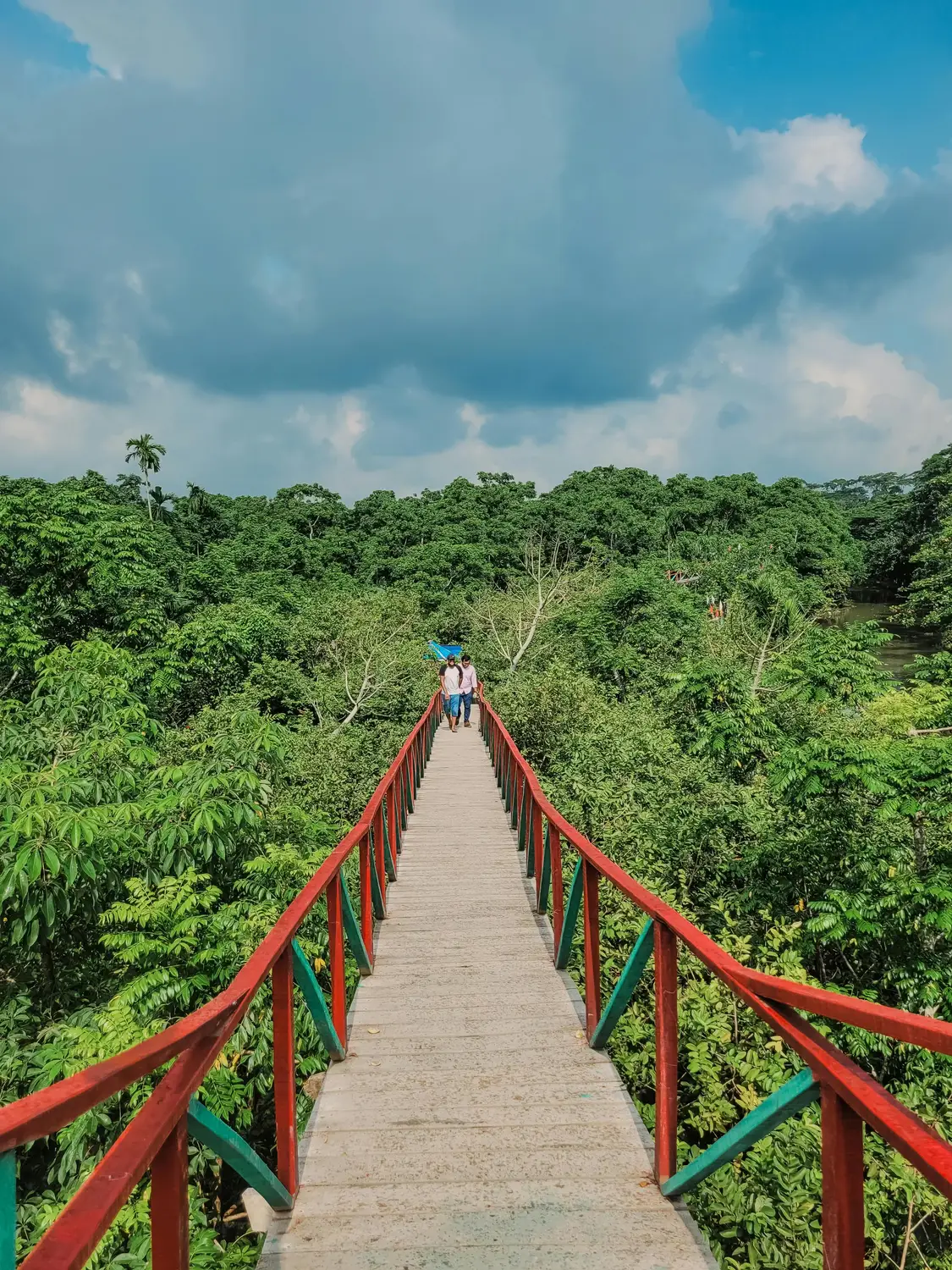 Elevated wooden footbridge with red railings over lush green forest canopy with two visitors walking, eco-tourism Bangladesh