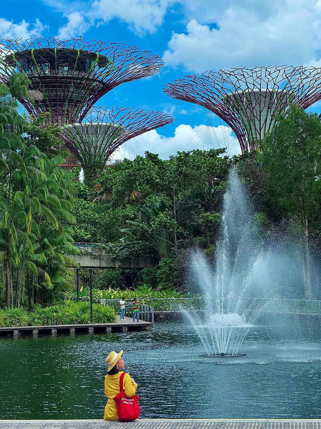 Gardens by the Bay fountain with yellow rubber duck sculpture and Supertree Grove in background Singapore