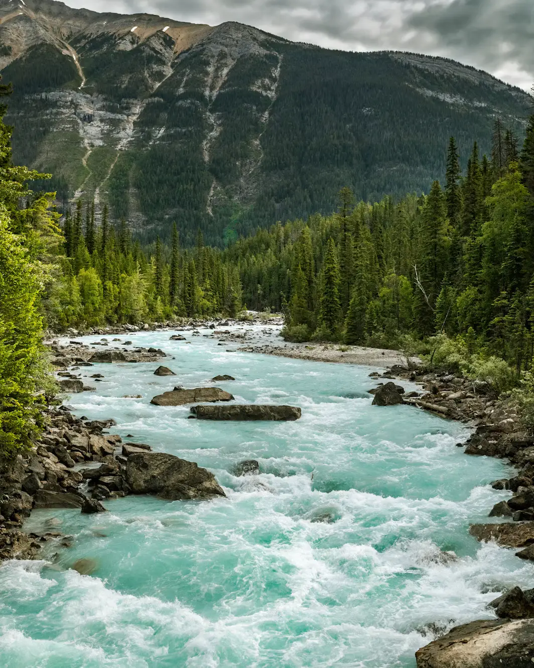 A turquoise glacial river rushing through a forested canyon with rocky banks.