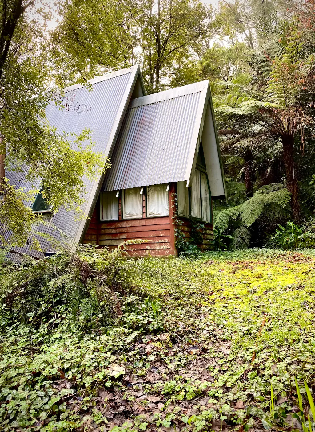 A-frame cabin nestled in green rainforest foliage, Australia