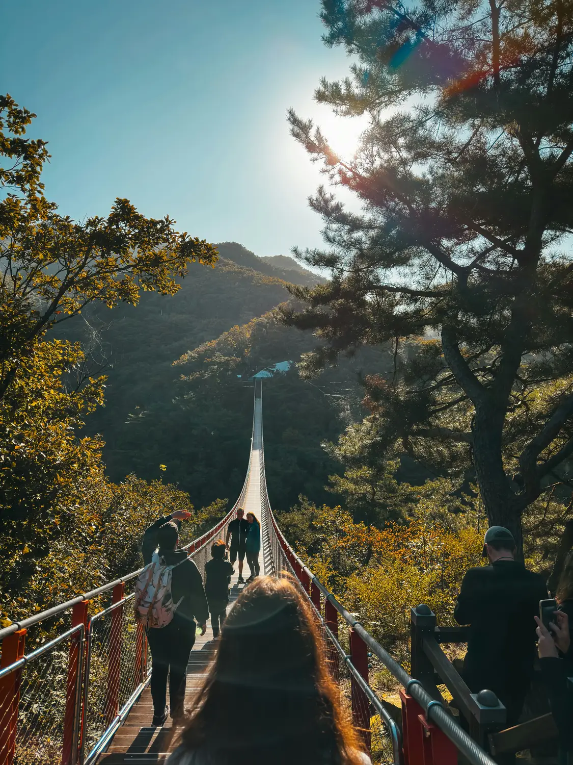 People crossing a forest suspension bridge surrounded by trees and mountains on a sunny day in South Korea.