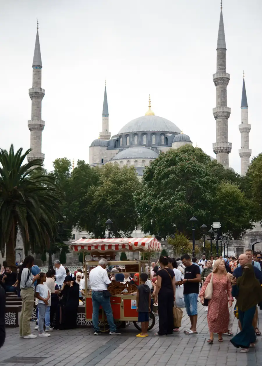The Blue Mosque's domes and minarets seen through palm trees, with a crowd gathered near a street vendor in the foreground.