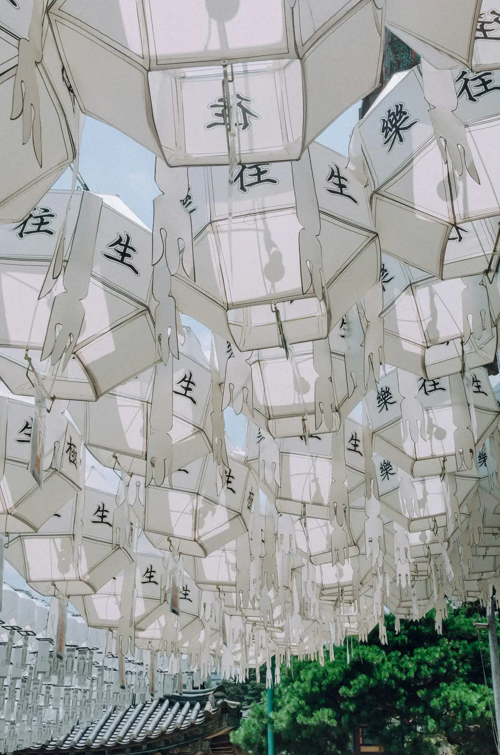 Hanging white paper lanterns inscribed with Korean text at a Buddhist temple in South Korea.
