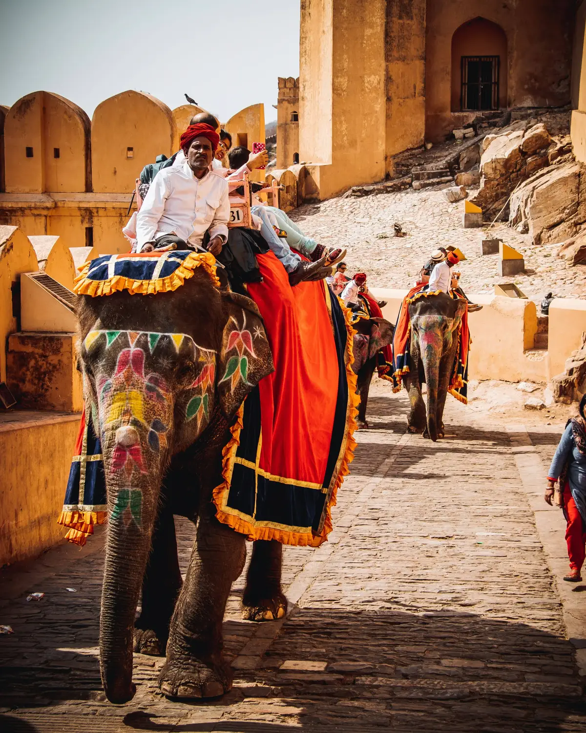 Decorated elephants carrying tourists up cobblestone path at Amber Fort, Jaipur, Rajasthan, India