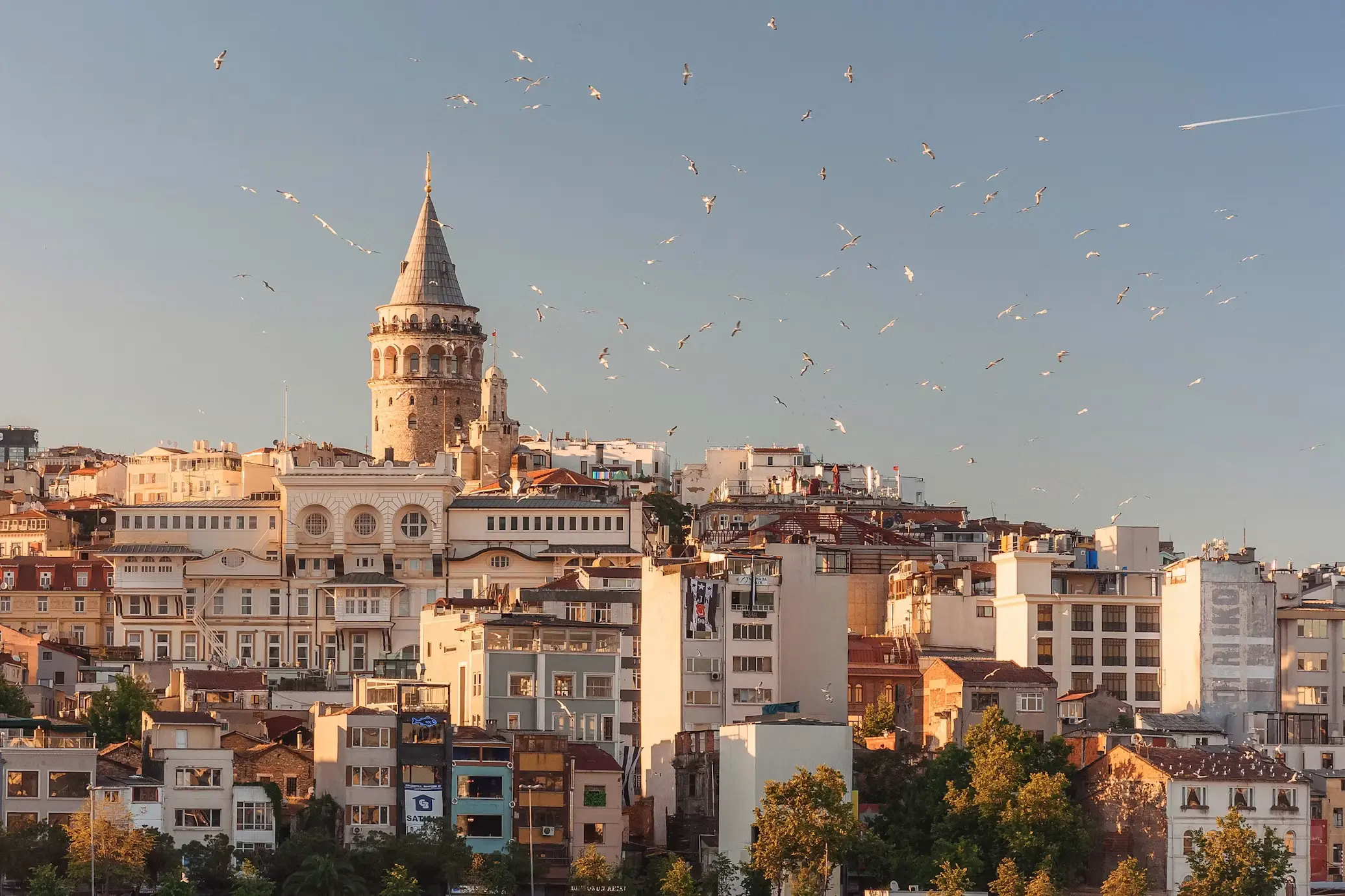 View of Galata Tower rising above the rooftops of Istanbul, Turkey, with birds flying overhead and a mix of historic and modern buildings in the foreground.