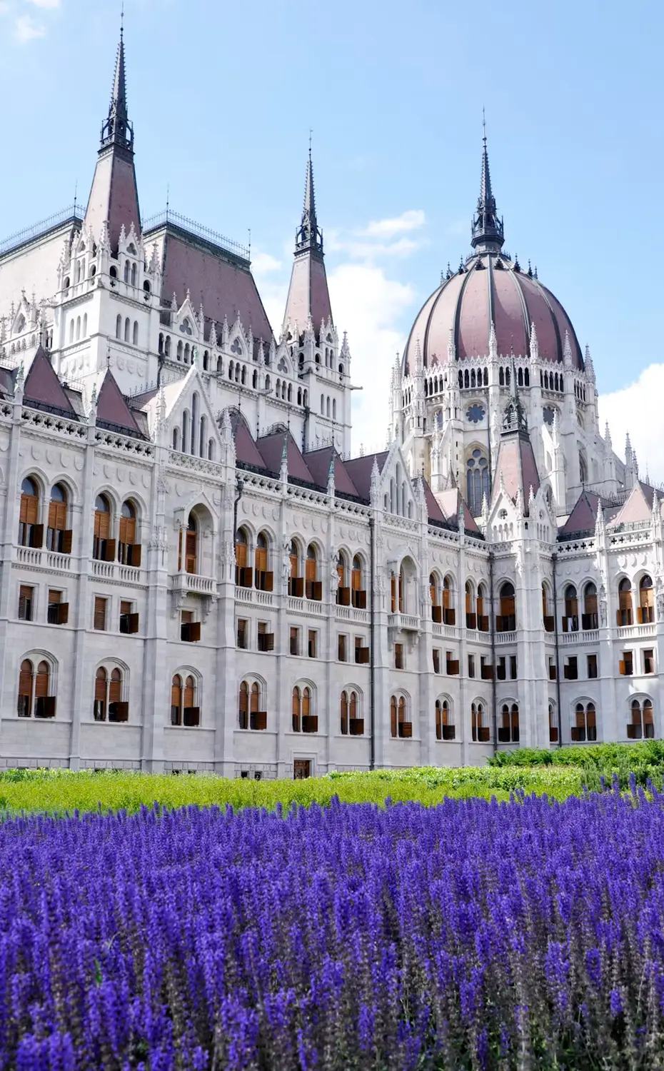 Ornate white parliament building with spires and a large dome behind a field of purple flowers.
