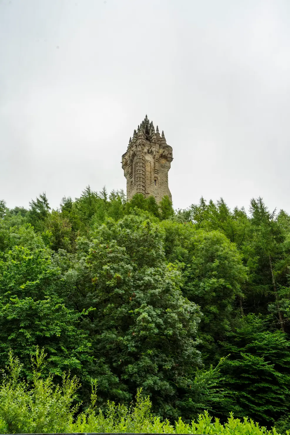 The Wallace Monument tower rising above dense green woodland under an overcast sky. Shorter option: