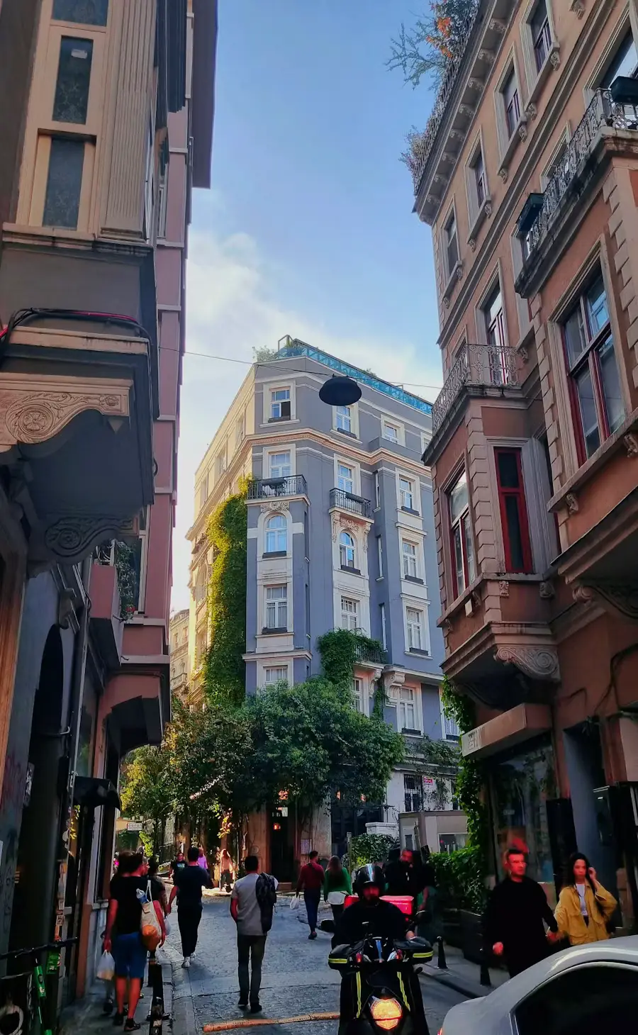 A narrow Istanbul street lined with tall historic buildings and greenery, with people walking below.