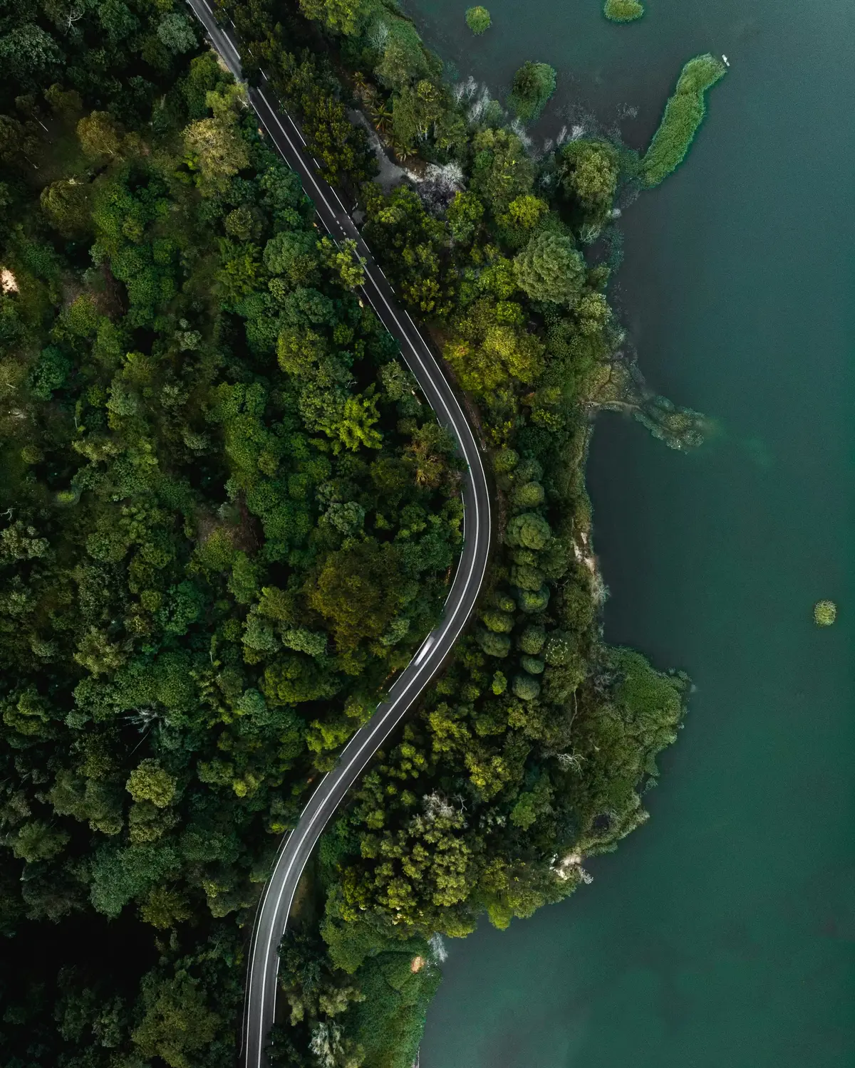 Aerial top-down view of winding road cutting through dense tropical rainforest along green lake shoreline in Malaysia
