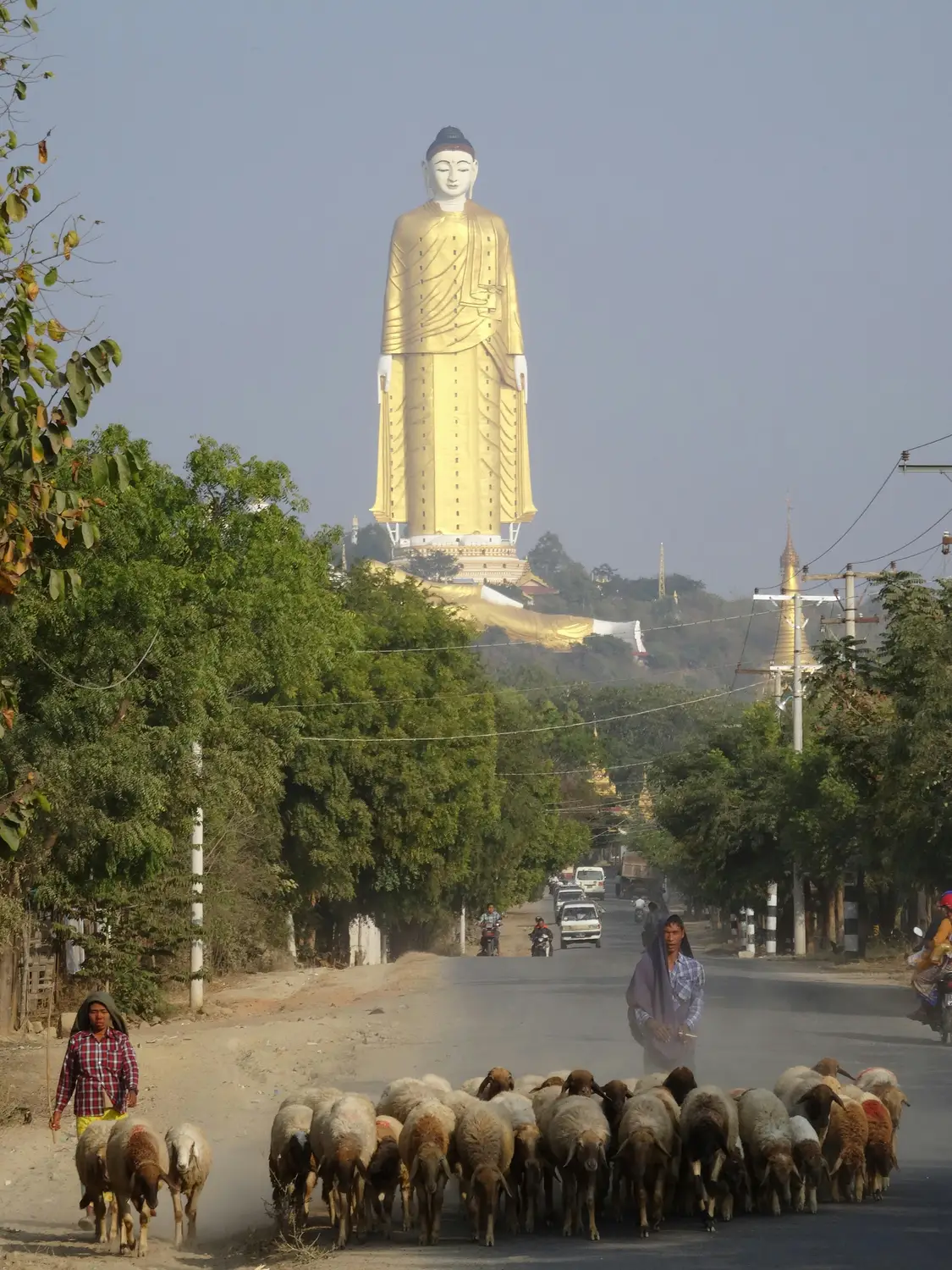 Laykyun Sekkya standing Buddha statue towering over rural road with sheep herd and shepherds, Monywa Myanmar