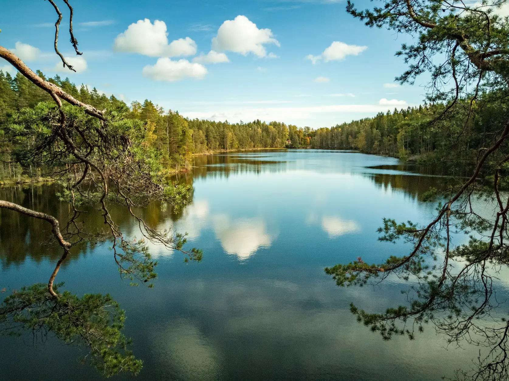 Calm forest lake reflecting clouds and trees, framed by pine branches under a blue sky.